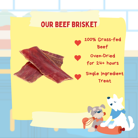 Beef Brisket Jerky (14oz bag)