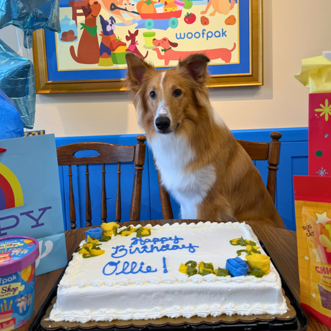 🎂 Celebrate