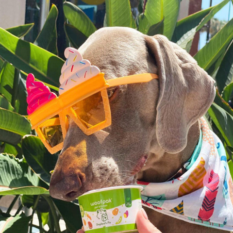 🍦 Treat