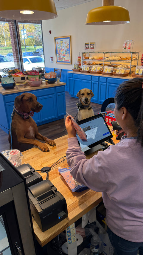 Two dogs sitting at a counter with a person using a tablet in a store setting.