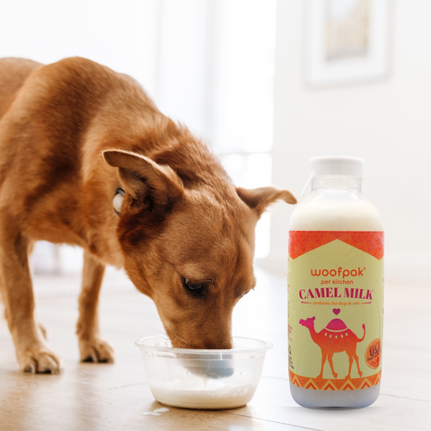 Camel Milk (Frozen)