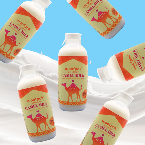 Camel Milk (Frozen)